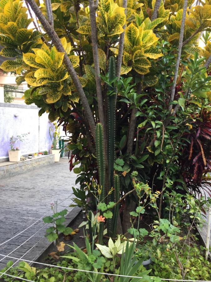 Casa Aconchegante Em Vila Valqueire Rio de Janeiro Eksteriør bilde